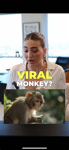 The Amalfi team is going to visit Punch the monkey. Do you get as emotional as Kolin does about Punch? @thekolinjones #FlyAmalfi #Punch #Monkey