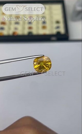 🌟 Discover Premium Natural Sapphires at GemSelect! 💎