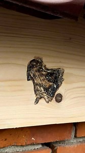 261K views · 107 reactions | Durable timber repair hack | Pixel Pop | Facebook