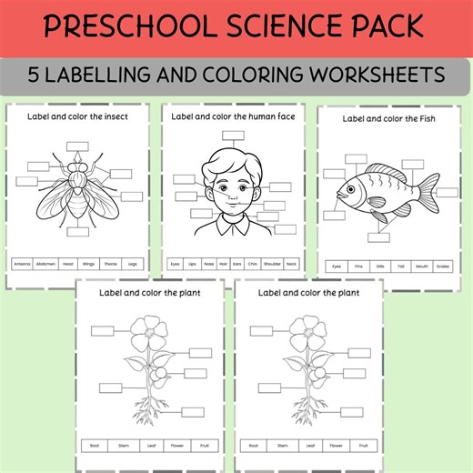 Preschool Science Worksheets: Color, Label & Learn Printable Pack – 5 Educational Pages (digital Download) - Etsy