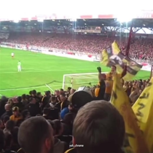 Dynamo Dresden's Exciting New Trio