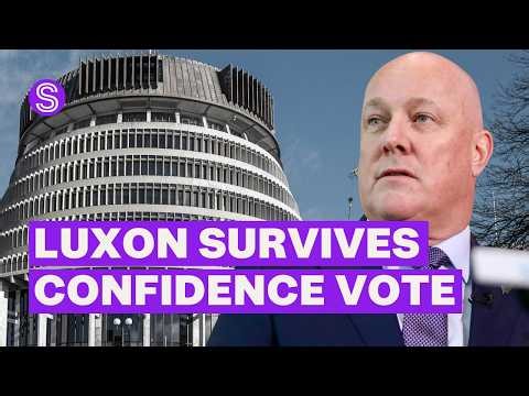 Luxon survives National leadership vote - but did all his MPs back him? | Stuff.co.nz