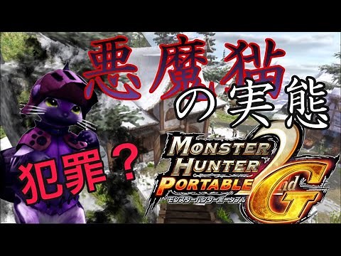 [MH２G]モンハンの黒歴史、悪魔猫について