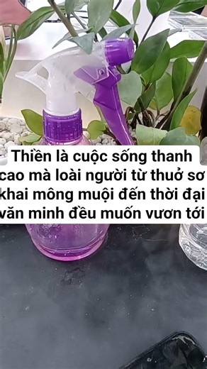 Giá trị của Thiền