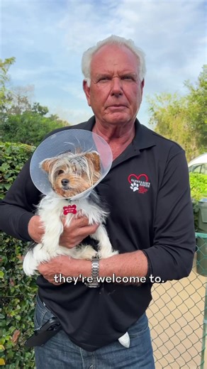 2.8K views · 289 reactions | UPDATE: ADOPTED! (Wellington, FL) TEX,...