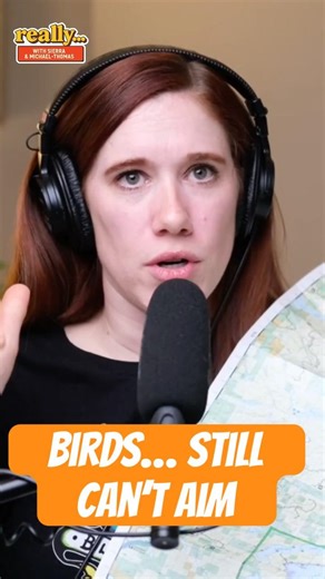 Birds should really try to aim better... | really...