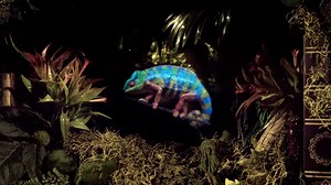 Holograms Are (Maybe, Finally) Real: Eyes on With Light Field Labs' SolidLight