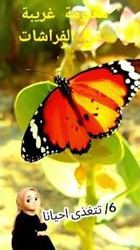 🦋 الفراشات عندها أسرار مرعبة❗😳 #shorts