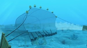 4.6K views · 58 reactions | Most people in New Zealand don’t even think bottom trawling is allowed inshore. It is. There are alternatives that don't cause the lasting destruction that bottom trawling does. #StopBottomTrawling #BecauseOfTheQMS | LegaSea NZ | Facebook