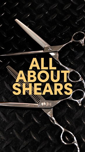 How to PROPERLY hold your shears - and why! No matter the shear type you should always hold your shear with your thumb and ring finger. This provides the most stability and is the only way to properly trim! Learn more about trimming basics in "Scissor Techniques for Success" https://bit.ly/scissor-technique | Leading Edge Dog Show Academy