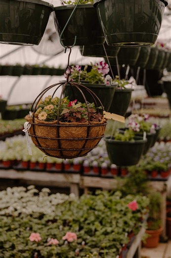 Book a spring mini session with me!! 🌷 Check my bio for more info!🤩 #minisessions #tnphotographer #springphotos #jacksontn #westtnphotographer