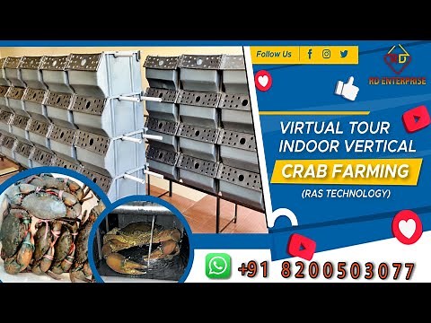 Vertical Crab Farming System -Basic RAS installation & Run- virtual tour of Vertical crab farming
