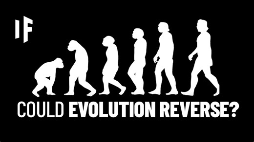 Watch what would happen if humans began to evolve backward