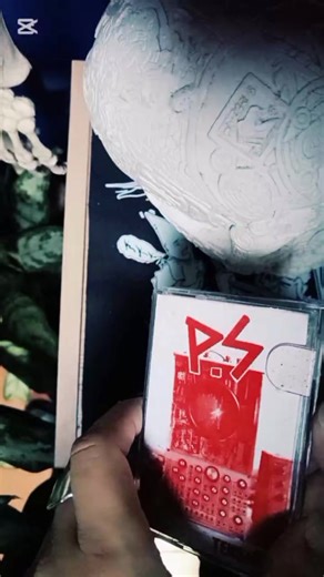 PoisonPunk Vinyl and Cassette en TikTok