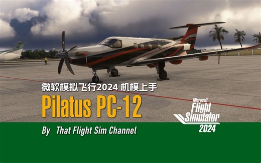 【机模教程PC12】Pilatus PC-12 MFS24 机模基础上手教程 - That Flight Sim Channel