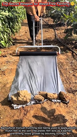 The Secret Weapon for Weed-Free Farming 🤫