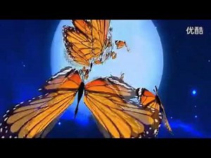 哏德全 彩云追月