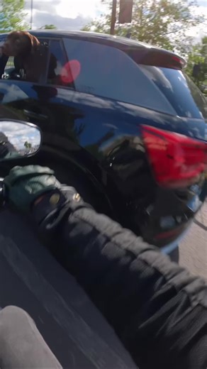 Dogs and Bikes: Perfect Companions for Adventure