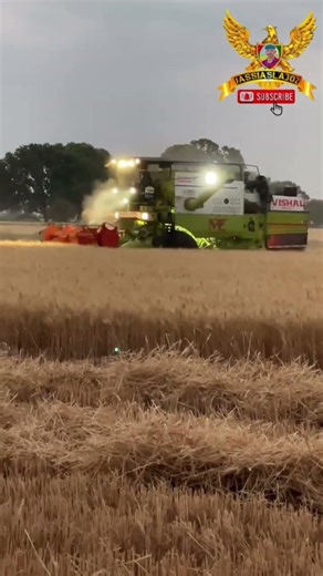 vishal 435 combine lovers harvester #shotrs #shortsfeed #jattlifestudio #sabscribe #mp