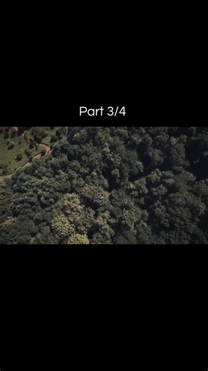 Part 3/4 #forensicfiles | Forensic Studies