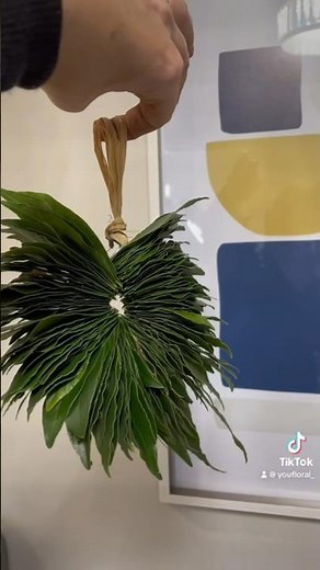 Making your own bay leaf wreath is a fun DIY project! Plus it dries well