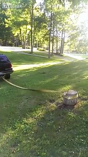 Tree trunk removal with an SUV