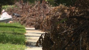 Discover Dallas's new approach to code compliance