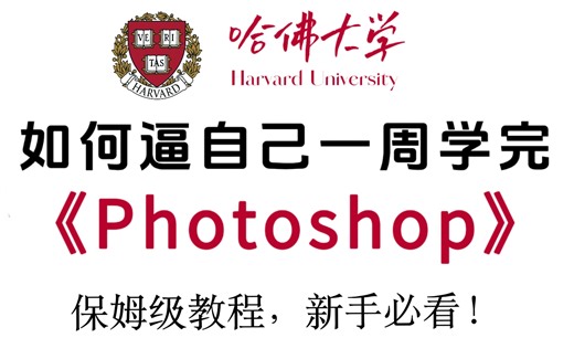 【PS教程】哈佛大佬198小时讲完的Photoshop教程，全程干货无废话，新手小白也可7天掌握的 B站最全最细PS系统教程！！！持续更新~~~