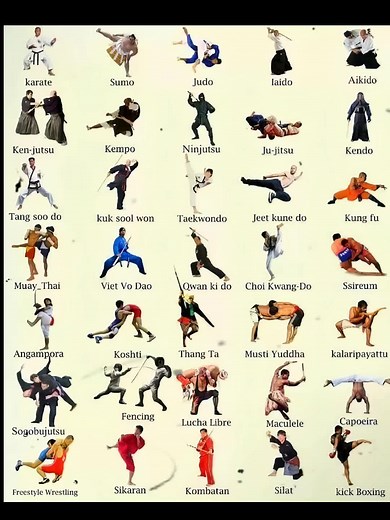 Aikido Fight Techniques - Golpe de Aikido