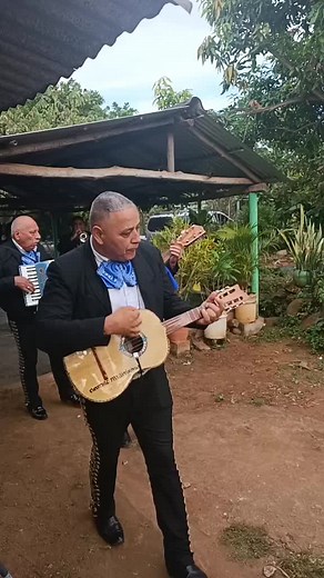 mariachi oro y plata on TikTok
