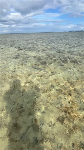 Flyfishinghawaii on Instagram: "First real bonefish on the fly. It rained and rained and rained. Non-stop rain! Then all of a sudden the sky’s parted for a moment and we got a window."