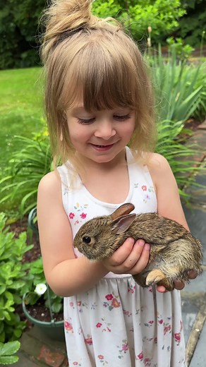 Baby Bunny Whisperer: Adorable Moments in the Garden