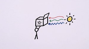 The Working of the Layered Arrangement of Chlorophyll Molecules in the Leaf | Britannica