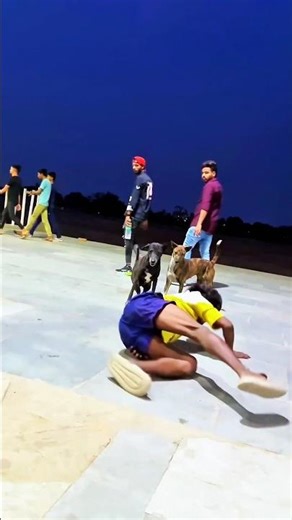 Dog🐶is best friend🤕ever and amazing dog😱 #dogapparel #dogshorts #funnyanimals #youtube