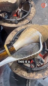 725K views · 5.2K reactions | Have you eaten Conch before? #seafood | Foodporn | Facebook