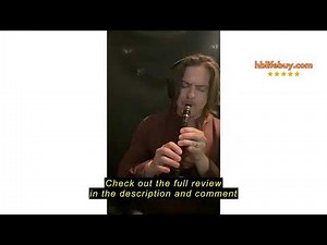 Review HiXing Simple sax,Mini Saxophone, Pocket Sax for C Key,Adult students and beginner profession