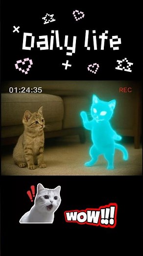 Alien Cat Tries TikTok Dance… Kitten Can’t Handle It 👽😹🛸 #AlienCat #TikTokDanceFail #CatReaction