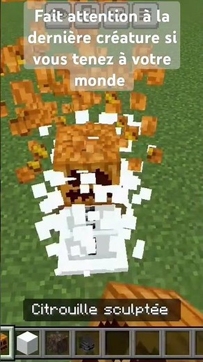 comment invoquer les différentes créatures grâce à des blocs sur Minecraft bedrock