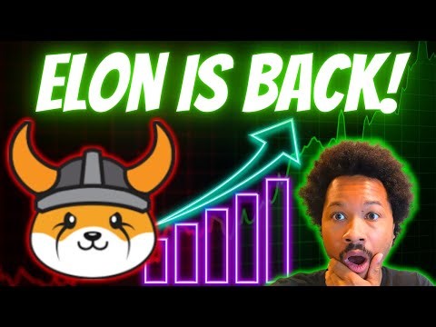 ELON JUST SENT FLOKI TO THE MOON! But Will It Last?