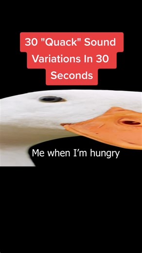 Meme (@sound_variations)’s videos with Quack quack - Tik Tok