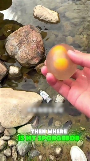 🧽😵💥 SpongeBob Got Squished by Me!#funny