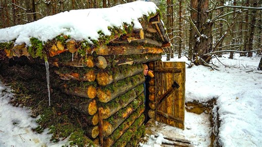 16K views · 373 reactions | The construction of a small dugout shelter in the woods is almost complete. | Alan Bushcraft | Facebook