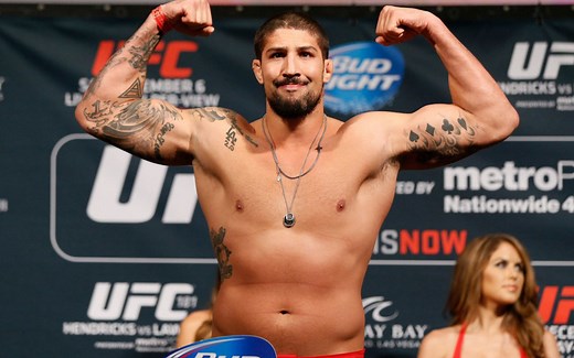 When did Brendan Schaub start fighting professionally?