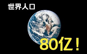 我是8000000000分之一