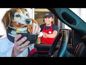 DOGS IN THE DRIVE THRU!