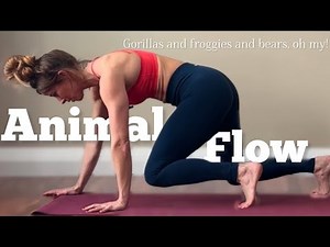 Animal Flow || Yoga Mobility for Men || Beginner Friendly Mixed Levels || Full Body 15 Min