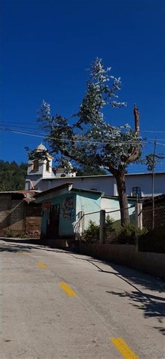 #guatemala #rural #nature #trip