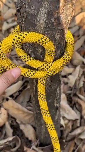 technique for tying rope to a tree neatly