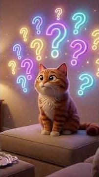Why #cats Bring You Dead #mice (It's Not What You Think) 🐭 #petchaos #petlovers #catvideos