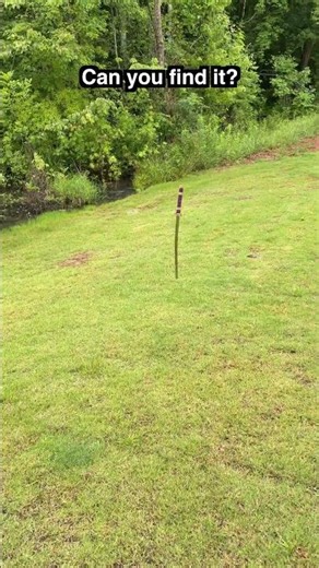 We LOST This Sword...